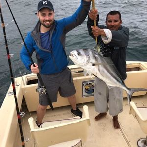 Meet your Posher, Jonathan